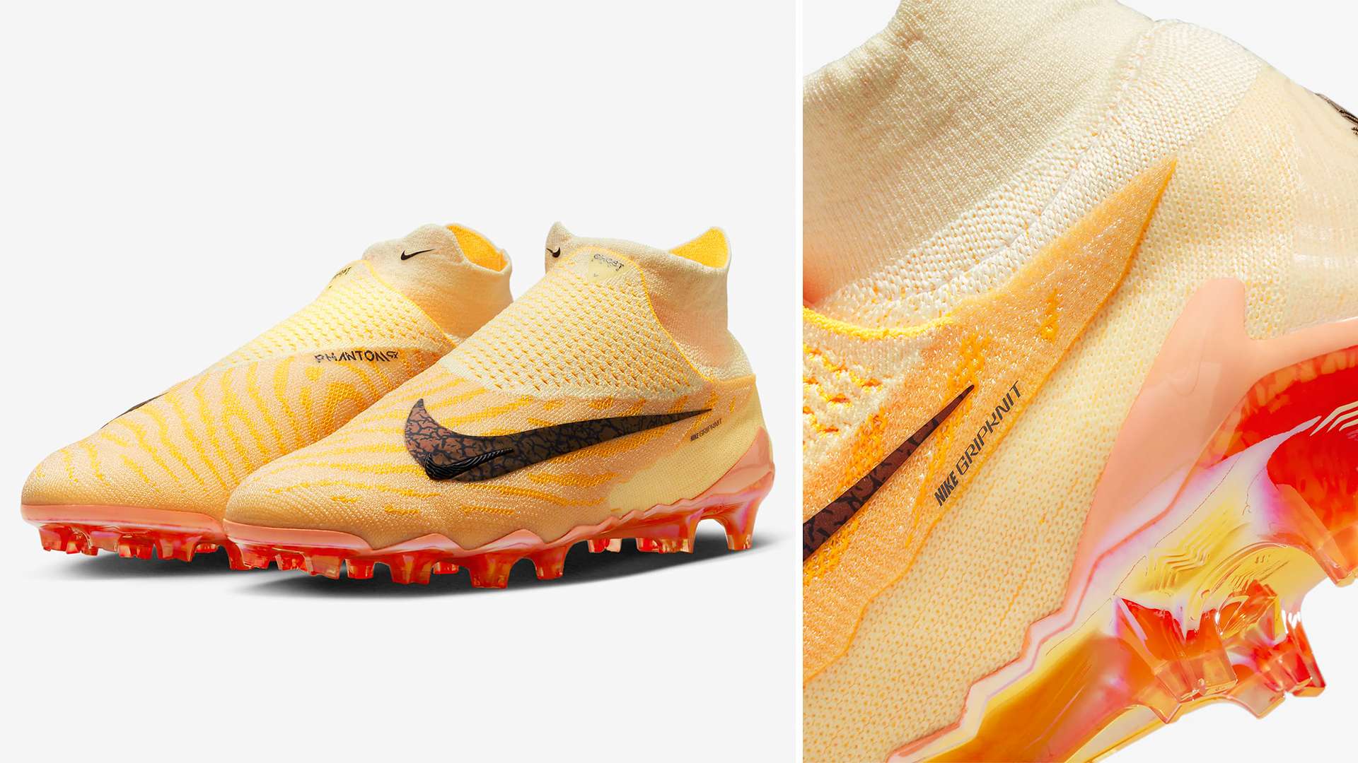 邁向成功的 邁向成功的