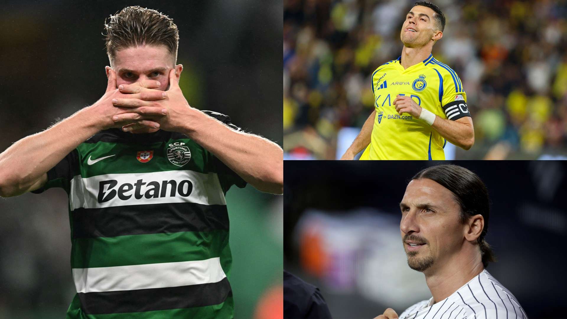 本人就个人 本人就个人